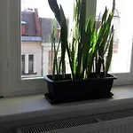 アパートホテル Przystanek Mariacka 26 *