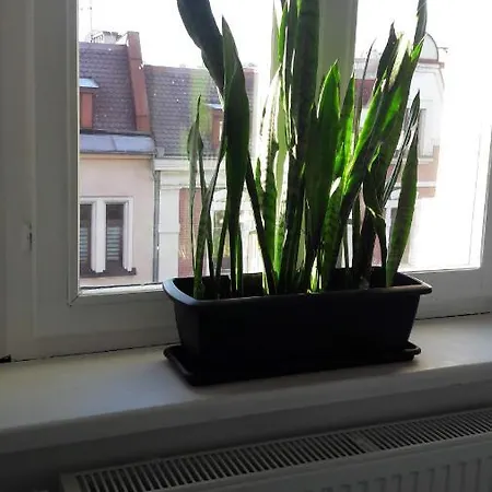 Aparthotel Przystanek Mariacka 26 *