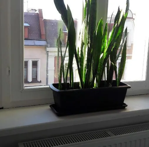 شقة فندقية Przystanek Mariacka 26 *